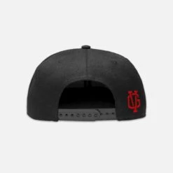 Violent Gentlemen Ivy Snapback Hat -Hockey Equipment Store violent gentlemen hats violent gentlemen ivy snapback hat 4528188063810